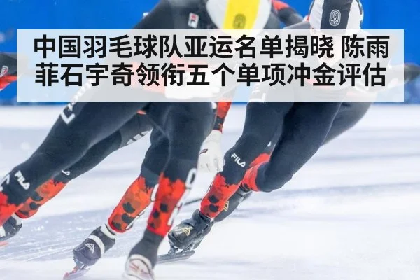 中国羽毛球队亚运名单揭晓 陈雨菲石宇奇领衔五个单项冲金评估