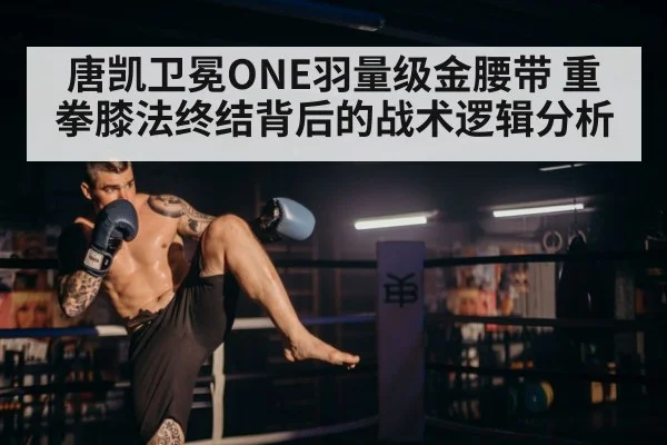 mma fighter punching